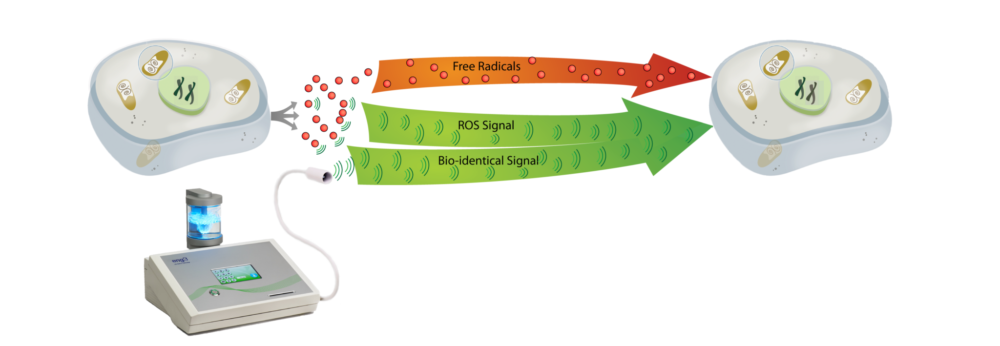 NanoVi and good ROS