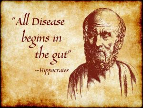 Hippocrates and digestion