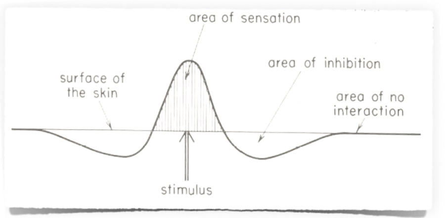 otto matic giant brain level