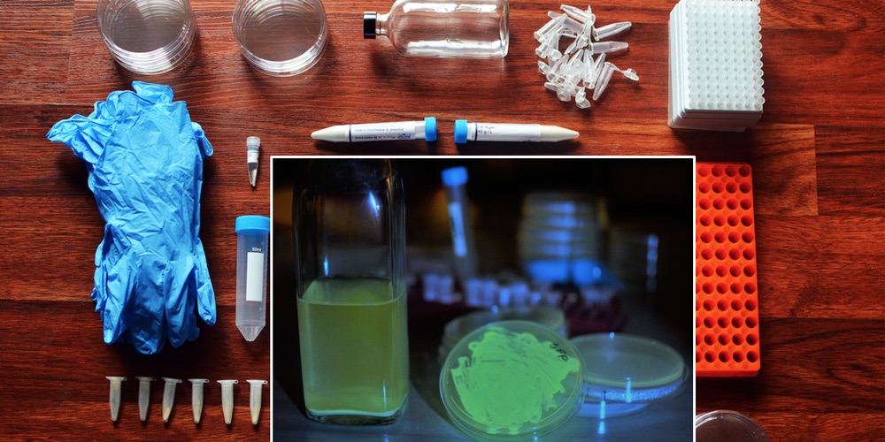 What is Biohacking? DIY Biology
